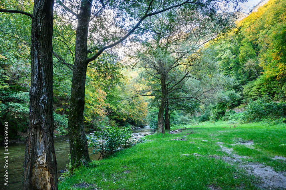 Beautiful mountain scenery. Trees and vegetation on the bank of a mountain river on an autumn day. Campsite. Beautiful mountain scenery. Trees and vegetation on the bank of a mountain river on an autumn day. Campsite.