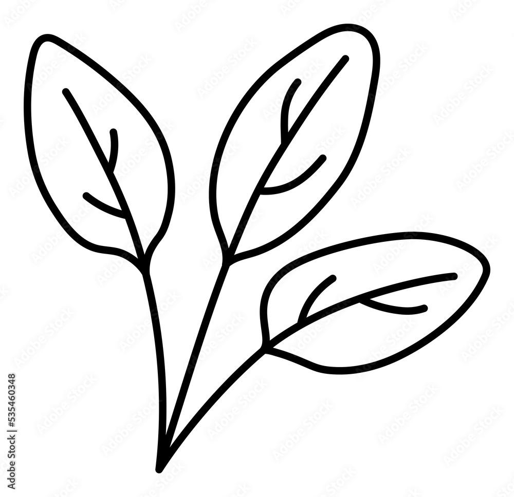 Obraz premium Spinach herbs. Vegetable sketch. Thin simple outline icon. Black contour line doodle hand drawn illustration