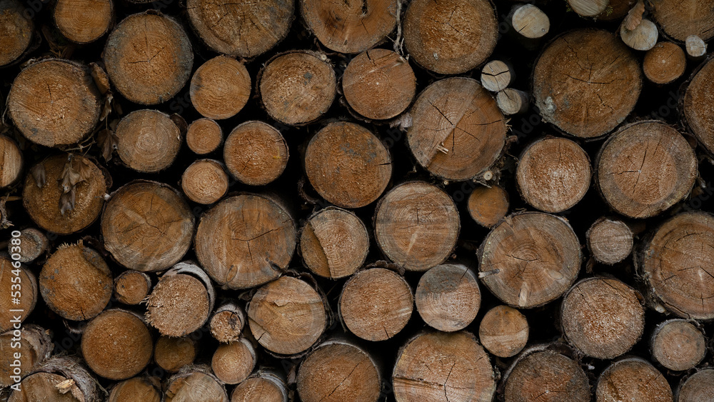 Stack of wooden stumps in cross section texture background - Wood woods forest pattern Stack of wooden stumps in cross section texture background - Wood woods forest pattern