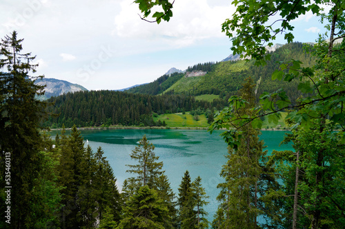 scenic emerald-green alpine lake Haldensee surrounded by lush green trees in the Alps of the Tannheim valley or Tannheimer Tal  Tirol  Austria