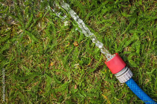 Water flowing from hose on green grass outdoors, top view. Space for text