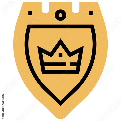 shield icon