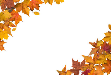 Autumn leaves border