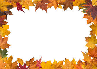 Autumn leaves border
