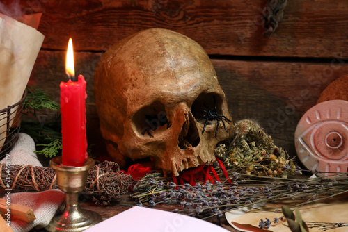 Human skull with a spider, ...