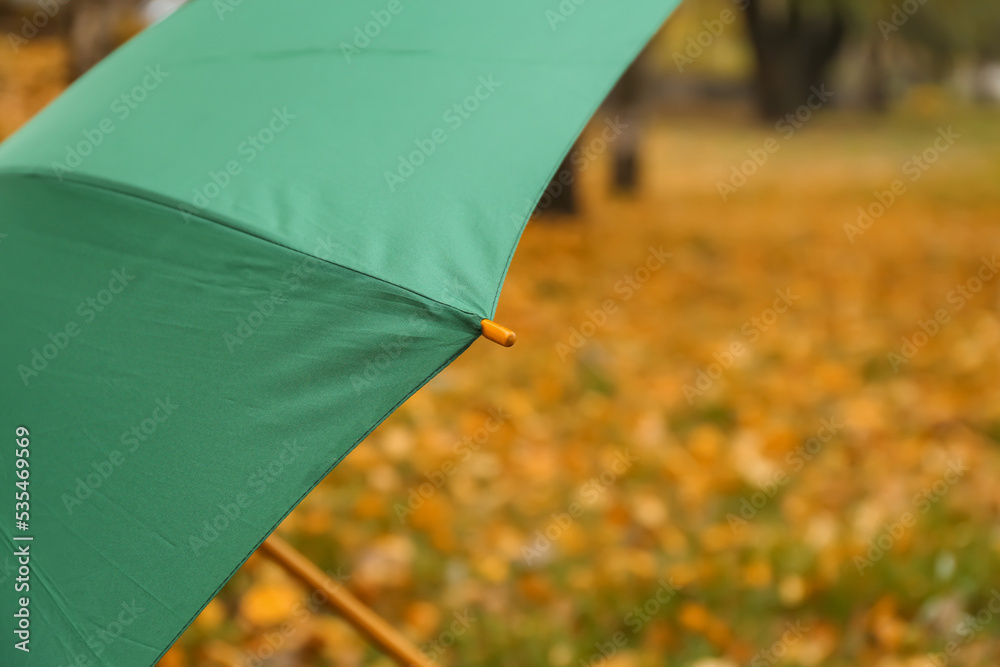 Stylish bright umbrella outdoors, closeup