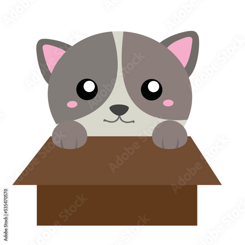 Cute Cats Animals Pet Indoor Illustration Vector Clipart