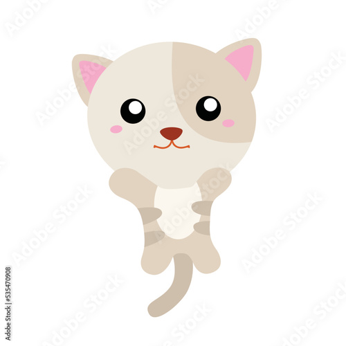 Cute Cats Animals Pet Indoor Illustration Vector Clipart