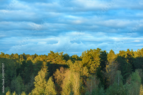 Fototapeta Naklejka Na Ścianę i Meble -  Green trees grow in boundless rural forest in countryside under cloudy sky. Lush treetops illuminated by sunlight on sunny summer day
