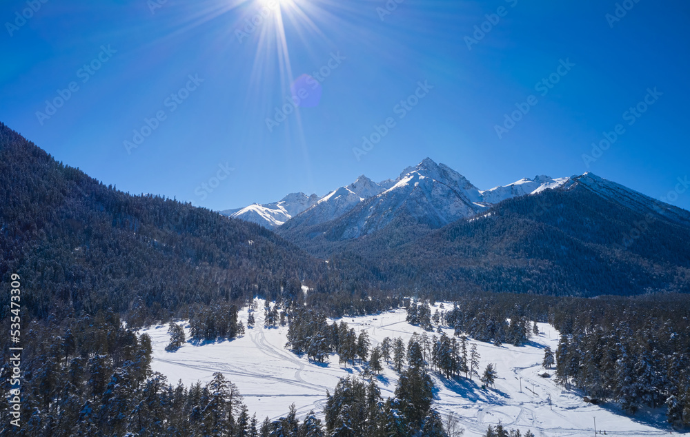 Winter mountain landscape with snowy fir trees