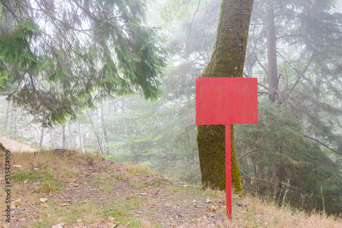 Rusty signpost in the misty forest