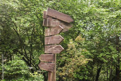 Blank Wooden directional sign in the forest