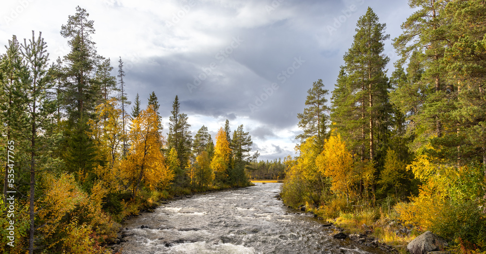 Herbstlandschaft mit Fluss, Herbstwald mit gefärbten gelben Blättern, farbenfroh