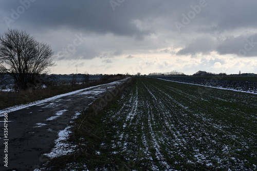 Early winter landscape in the fields 