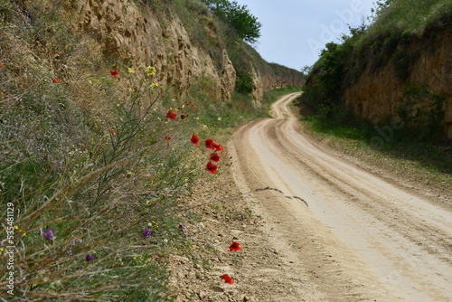 Dusty road through hills 