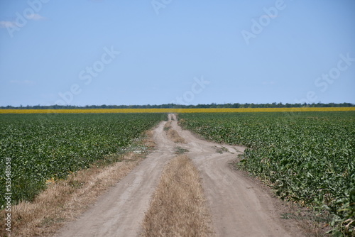 Dusty road in field with beautiful blue sky