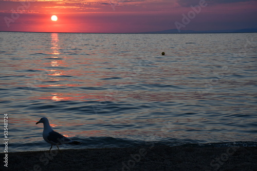 Sunset over the peaceful sea with seagull 