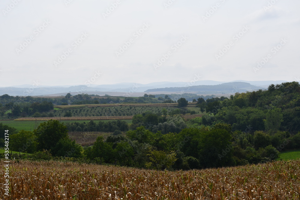 Beautiful fall background with hills in background and corn field in front 
