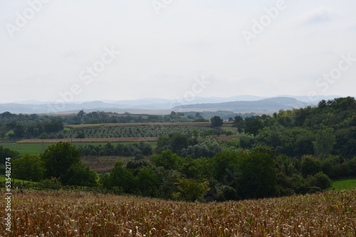 Beautiful fall background with hills in background and corn field in front 