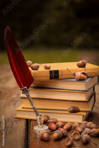 Herbs Bücher Eicheln Stillleben