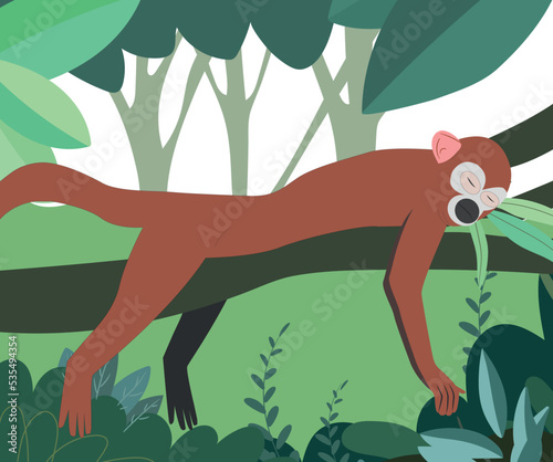 Brown monkey laying on a tree branch in the jungle