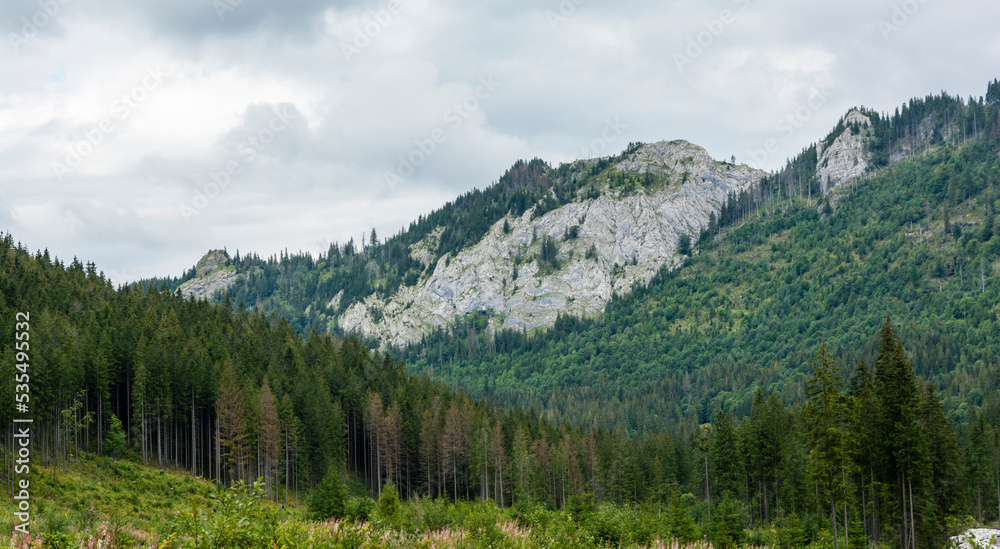 Belianske Tatras ridge contains mountains built of limestone and dolomite with distinctive karst topography