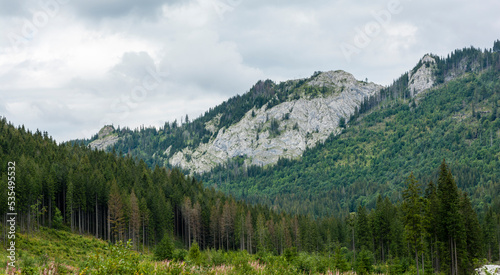 Fototapeta Naklejka Na Ścianę i Meble -  Belianske Tatras ridge contains mountains built of limestone and dolomite with distinctive karst topography