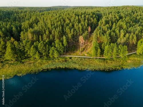 Aerial view of green forest trees on the shore of Lusiai Lake in Lithuania photo