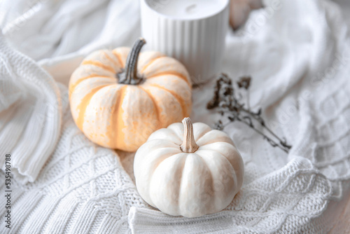 Whitish cozy autumn composition on white knitted sweater  pumpkins  candle  leaf. Autumn  fall  hygge home decor. Selective focus. 