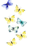 Hand drawn watercolor butterflies background