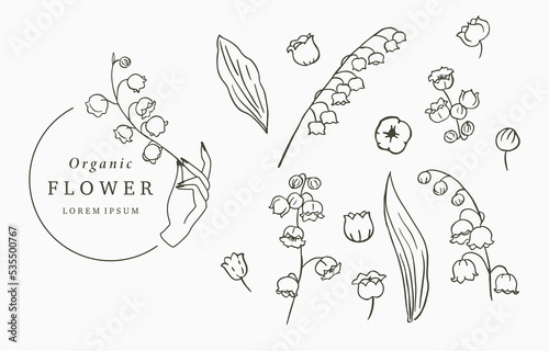 Black line flower collection with lily of the vallay on white background