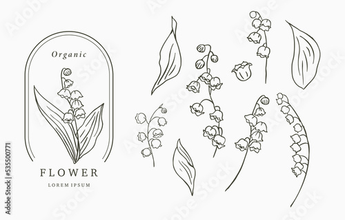 Black line flower collection with lily of the vallay on white background