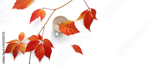 Fall red leaves with white coffee cup isolated on white background. Top view for seasonal concept.