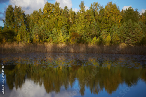 Autumn forrest reflecting in the lake, selective focus