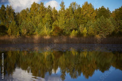 Autumn forrest reflecting in the lake, selective focus