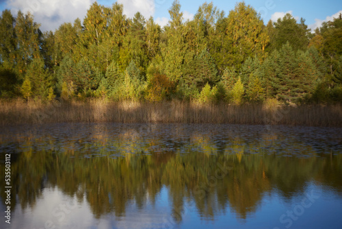 Autumn forrest reflecting in the lake, selective focus