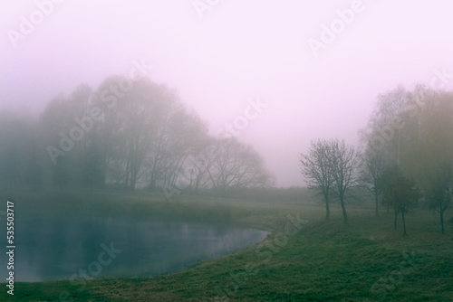 November morning landscape. Autumn foggy park with a lake.