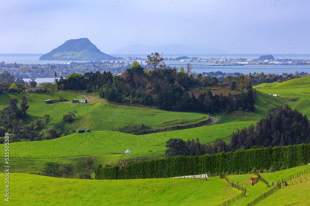 View of the town and mountain of Mount Maunganui, New Zealand, seen from a farm in the surrounding hills