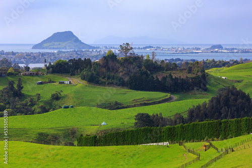 View of the town and mountain of Mount Maunganui, New Zealand, seen from a farm in the surrounding hills photo