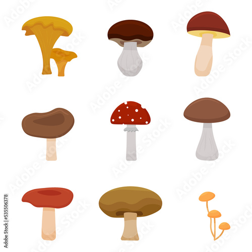 PNG cartoon mushrooms. Poisonous and edible mushrooms. Set of wild mushrooms. 