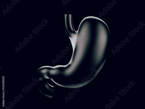 Fotografie Human stomach made of glass