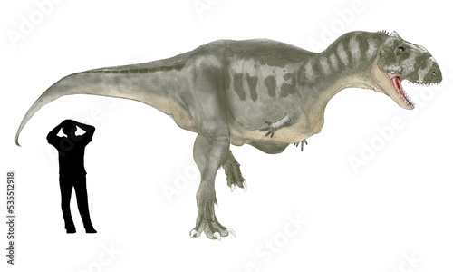マジュンガサウルス 白亜紀後期の終り頃、現在のマダガスカルに生息していた恐竜。ケラトサウルス下目の獣脚類でアベリサウルス科。学名はマダガスカルの州都であるマジュンガ州の近くで発見されたことに因んでいる。ティラノサウルスのようなセレーションの刻まれたステーキ用ナイフのような歯を持っていた。頑丈な頸椎、軽量化された骨格をもち、全長8メートルの体格と強い筋力があり大型の獲物を捕食。