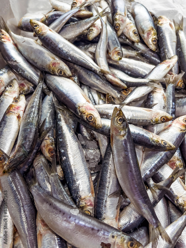 Pile of Freshly Caught Sardine Sea Fish on a Sea Market