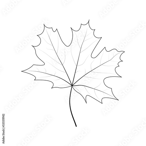 Single simple Marple leaf outline. Coloring page for kids. Autumn, Spring, Summer. Balck and white, isolated, vector illustration.