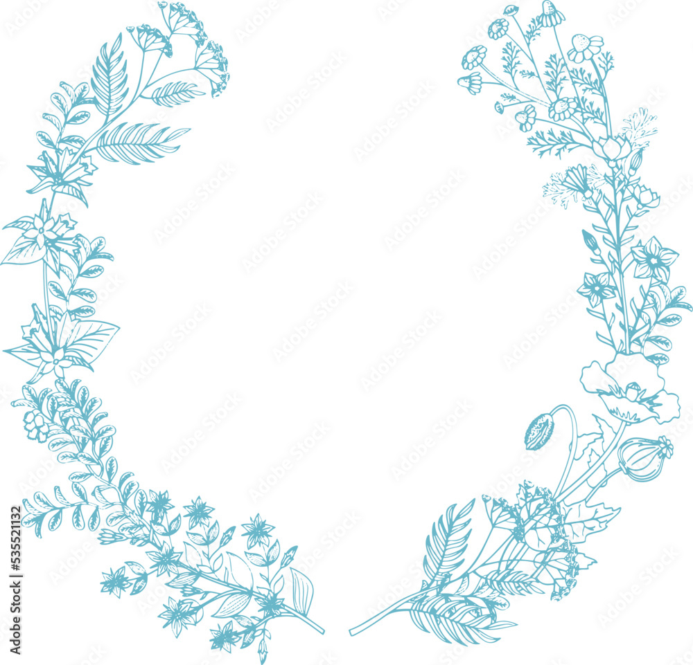Herbal round frame. Botanical border. Decorative nature Herbal round frame. Botanical border. Decorative nature