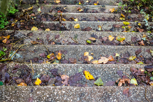  Steps covered with autumn leaves on a cloudy day.