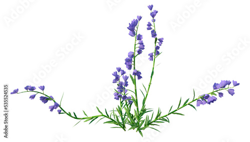 3D Rendering Canterbury Bells on White photo
