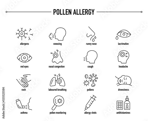 Pollen allergy vector icon set. Line editable medical icons. photo