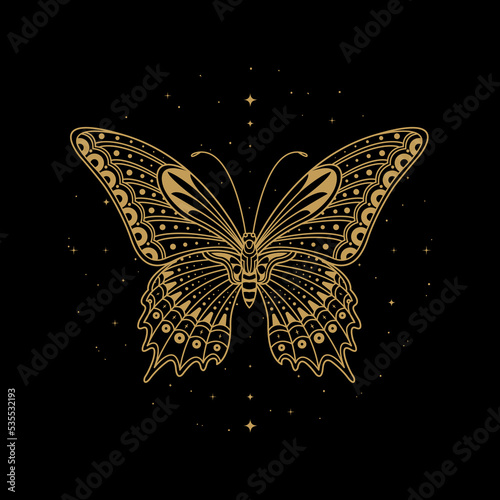 Butterfly Vector Illustration