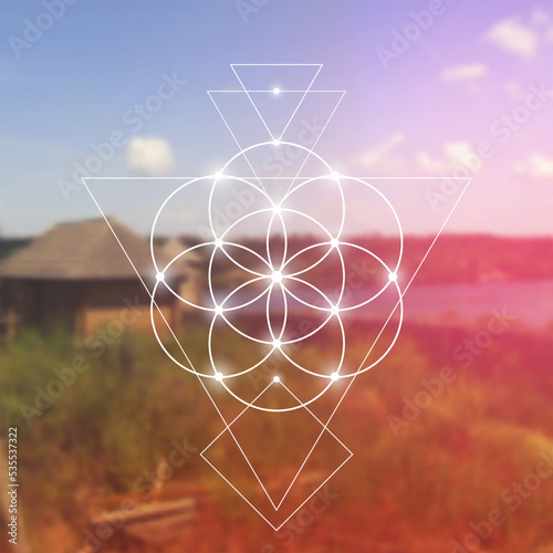 Flower of life. Tree of life. Sacred geometry spiritual new age futuristic illustration with transmutation interlocking circles, triangles and glowing particles